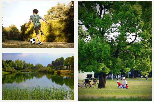 必赢亚洲·bwin(中国区)官方网站